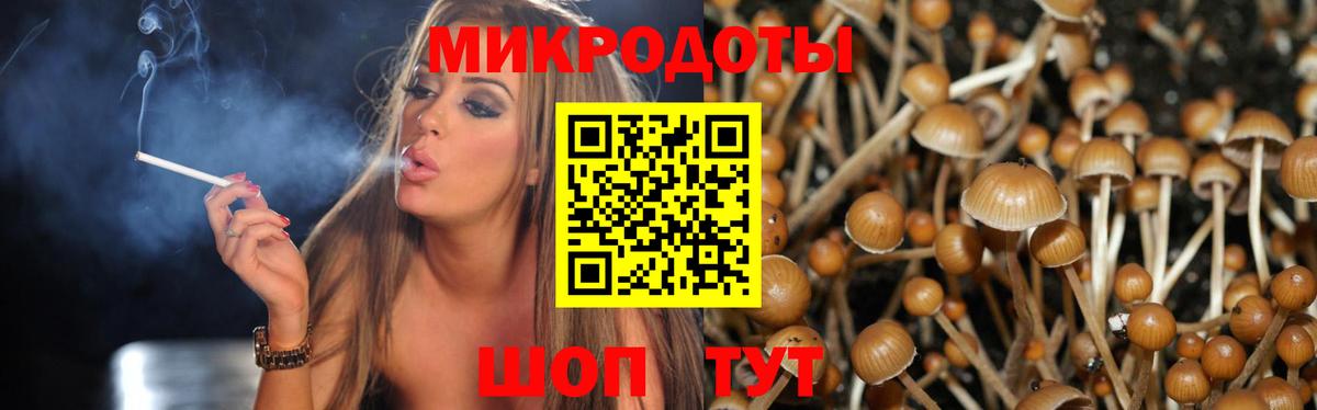 Псилоцибиновые грибы Cubensis  Псилоцибиновые грибы MAGIC MUSHROOMS  Подольск  Вход с VPN 